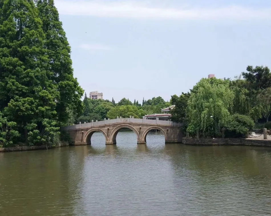 杨浦区杨浦区移动宽带