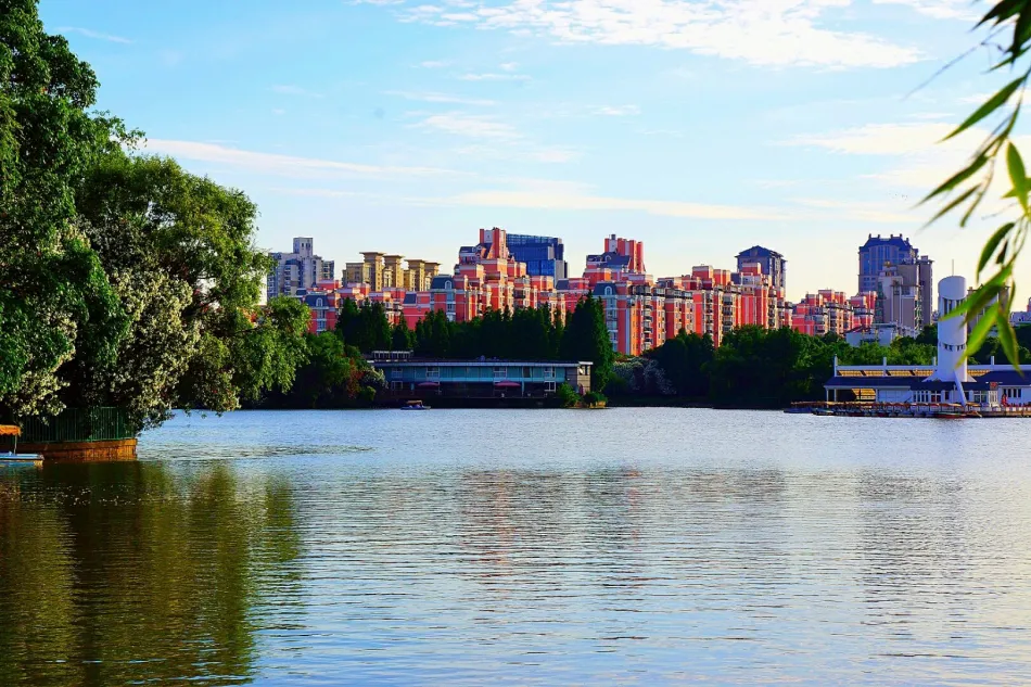 杨浦区杨浦区移动宽带